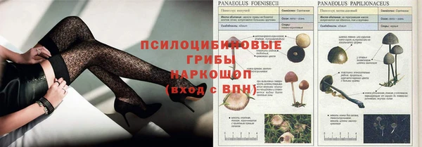 наркотики Гусиноозёрск
