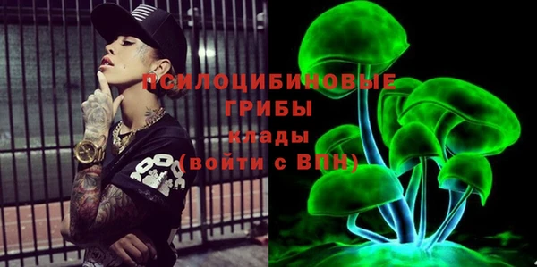 кокс Гусев