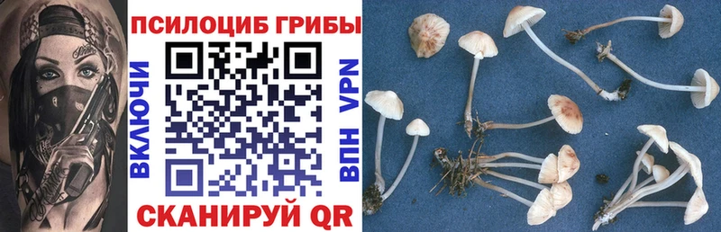 Галлюциногенные грибы GOLDEN TEACHER  мега рабочий сайт  Чкаловск 